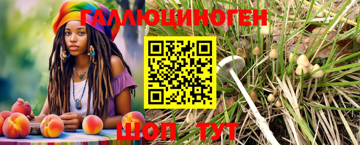 Прокопьевск  Галлюциногенные грибы Psilocybe  Вход с VPN 