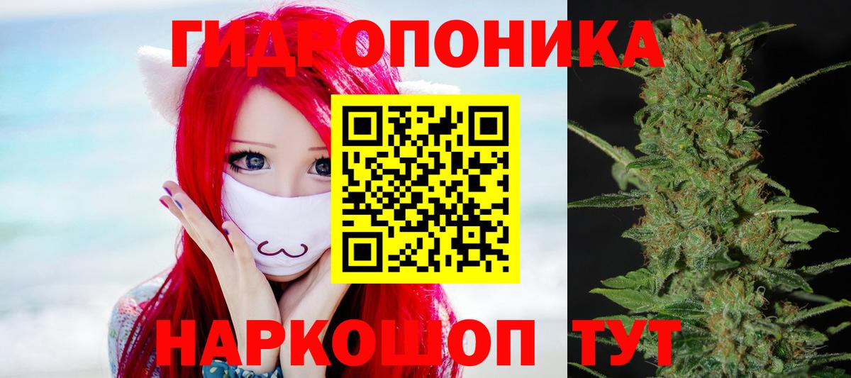 Прокопьевск  Конопля Ganja  Бошки Шишки гибрид  Каннабис планчик  Вход с VPN 