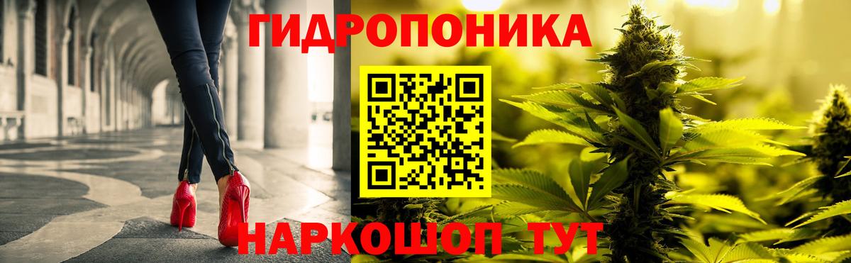 Канабис планчик Прокопьевск